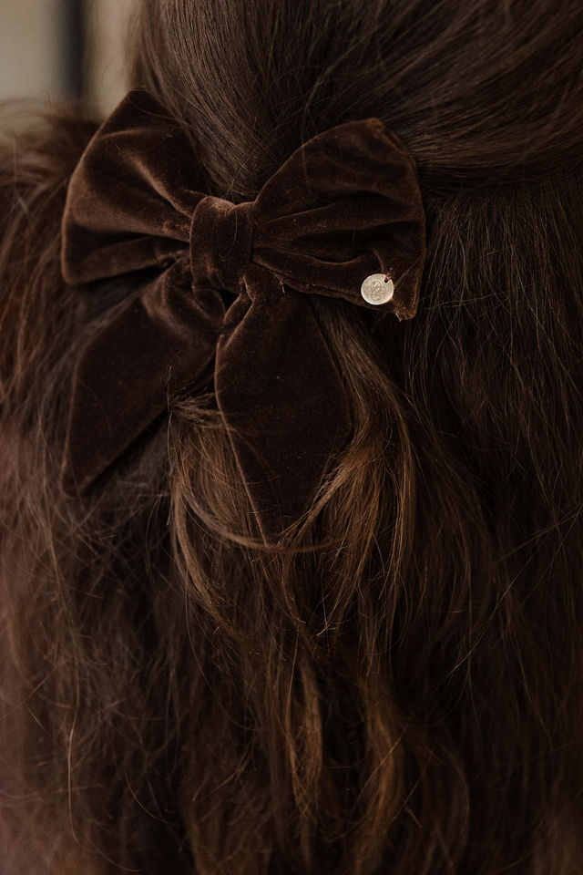 petit noeud en velours brun