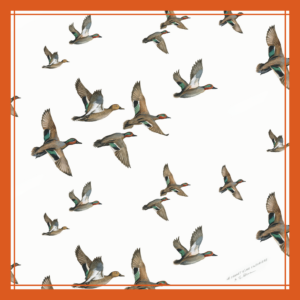 LE CARRÉ SARCELLES orange